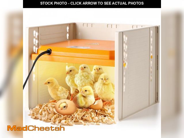 Lot 74-11548066 - Chick Brooder, Chicken Brooder Heating Plate for Chicks with Adjustable Height and Angle - UNUSED