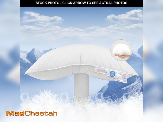 Lot 74-11905615 - Canadian White Goose Down Pillow Standard Size,900+ Fill Power Soft Side Sleeper Pillow for Sleeping...