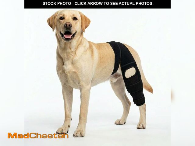 Lot 74-14149996 - Lushnessu Dog Leg Braces for Back Leg- Dog ACL Brace for Torn and Back Hind Rear Legs ACL Tear, Dog ...