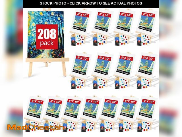 Lot 74-13712185 - AROIC 208 Pack Easel and Canvas Sets with 16 Wood Easels,160 Brushes,16 Canvas and 16 Palette, Paint...