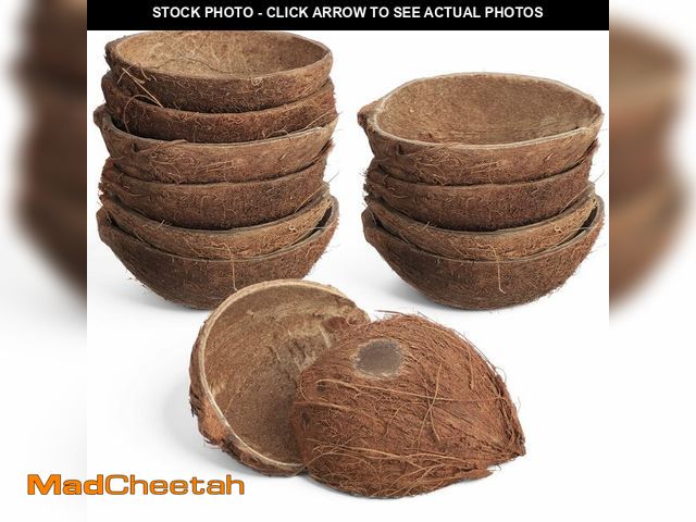 Lot 74-13951732 - LemonRoad Natural Coconut Shell Bowl Halves About 2/5 the Size of a Coconut Smooth Bottom for Easy S...