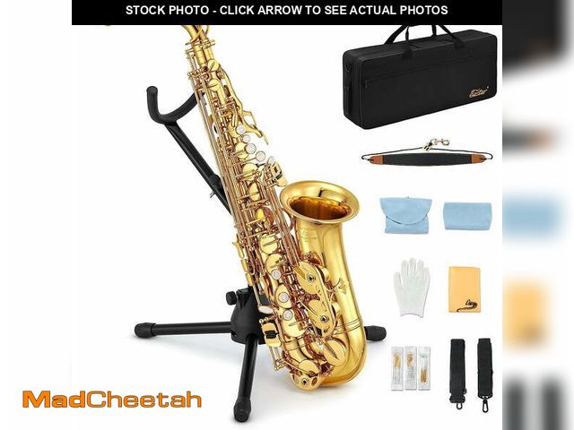 Lot 74-13097734 - Eastar Alto Saxophone with Stand E Flat Gold Lacquer Student Beginner Sax Full Kit School Band Orche...