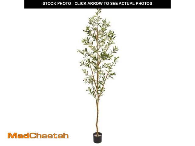 Lot 74-12161221 - 6.75' Artificial Olive Potted Tree - All - UNUSED