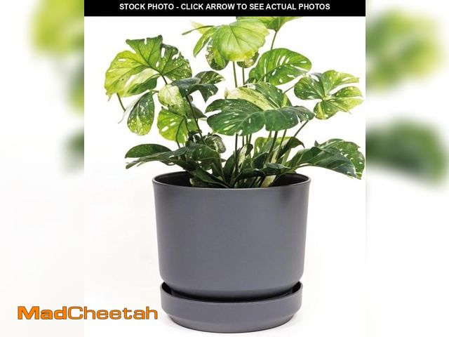 Lot 74-12399730 - Elly Decor 14 inch Plastic Cylinder Planter Pot with Self-Watering Saucer and Drainage Hole,Lightwei...