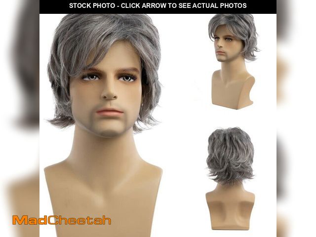 Lot 74-12709912 - Beweig Mens Short Grey Wig Short Silver Gray Wigs Natural Synthetic Heat Resistant Hair Replacment W...