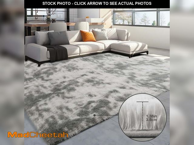 Lot 74-12548874 - Emossie 5' x 8' Rug for Living Room, Large Washable Shag Rug, Indoor Modern Tie-dye Area Rugs for Be...