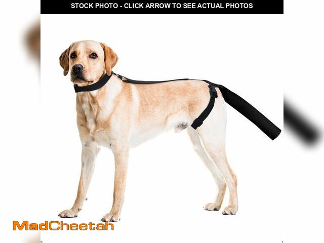 Lot 74-14430006 - OHCOZZY Dog Tail Protector, Dog Tail Bandage Cover for Comfortable Wound Injury RecoveryÃ¯Â¼Å Dog H...