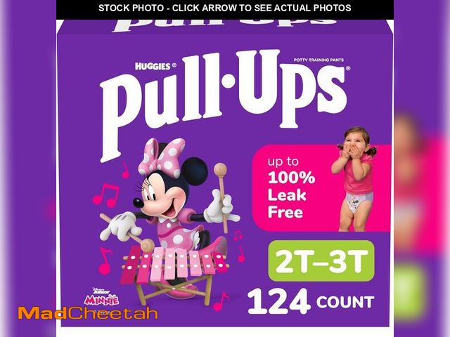 Lot 74-14067531 - Pull-Ups Girls' Potty Training Pants, Size 2T-3T Training Underwear (16-34 lbs), 124 Count (4 packs ...