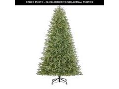 Lot 74-12651783 - undefined