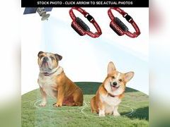 Lot 74-13623975 - undefined