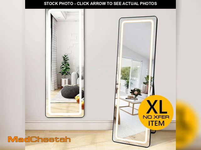Lot 74-13054294 - DingLiLighting Full Length Wall Mounted Mirror Light, Rectangle Floor Mirrors for Leaning or Hanging...
