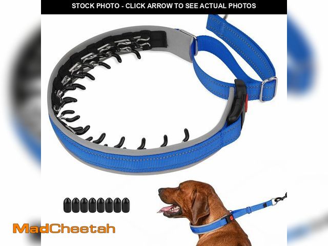 Lot 74-14382849 - Mayerzon Martingale Dog Collar for Pulling, Patented No Pull Training Walking Collar with Buckle for...