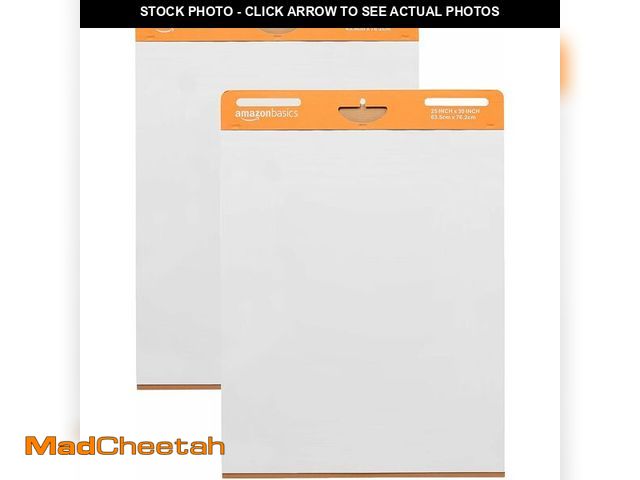 Lot 74-14067871 - Basics Sticky Easel Pads for Presentations, Brainstorming, Classroom Use, Bleed-Resistant, Easy to H...