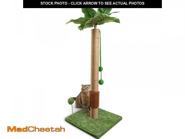 Lot 74-11546383 - ANWA 35" Tall Cat Scratching Post for Kitten and Large Cats, Scratching Post for Indoor Cats with Se...
