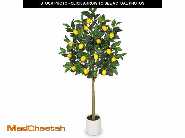 Lot 74-12802721 - GnFlus 4Ft Artificial Lemon Trees Large Artificial Tree with White Ceramic Pot Faux Lemons Citrus Tr...