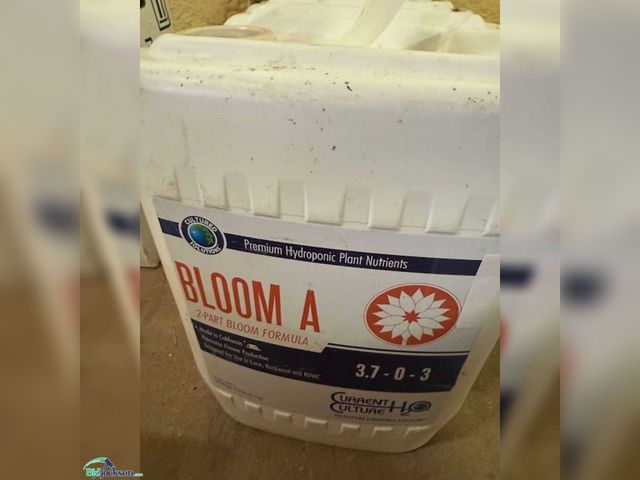 Lot 76-7273 - CULTURED SOLUTIONS BLOOM A FORMULA