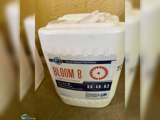 Lot 76-7274 - CULTURED SOLUTIONS BLOOM B FORMULA