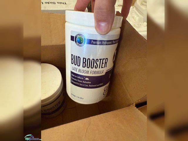 Lot 76-7283 - CULTURED SOLUTIONS BUD BOOSTER