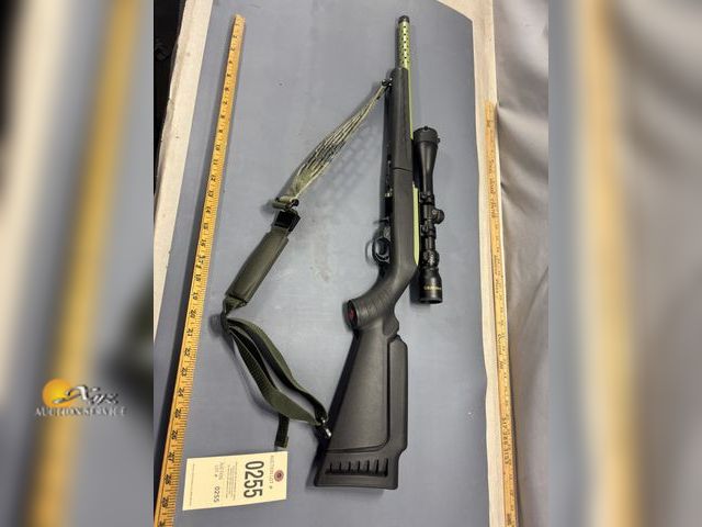 Lot 83-0255 - Ruger 1022 22 LR Semi-Auto Rifle