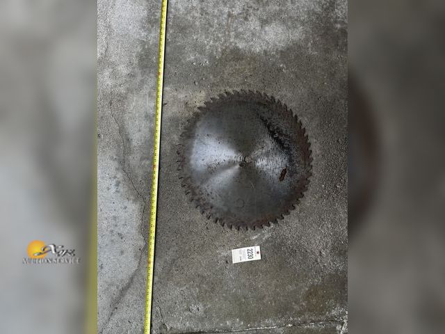 Lot 83-2230 - 24" Buzzsaw Blade