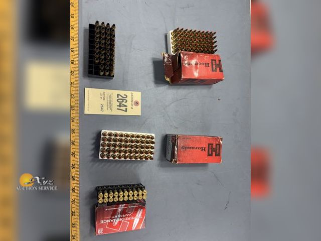 Lot 83-2647 - Lot of 204 Ammo