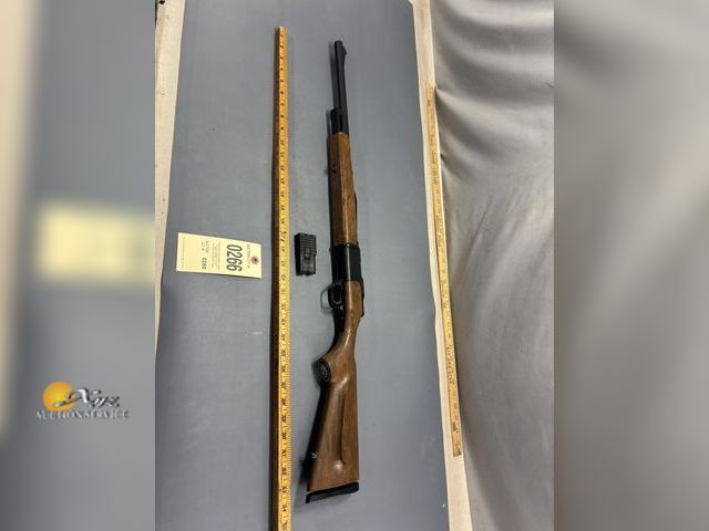 Lot 83-0266 - Daisy 2203 .22LR Semi-Auto Rifle