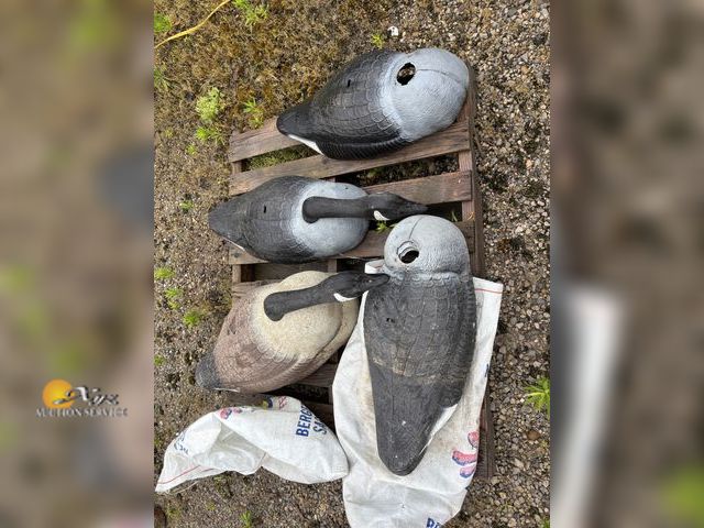 Lot 83-1003 - Lot of Twenty-Eight 24-inch Goose Shells with heads