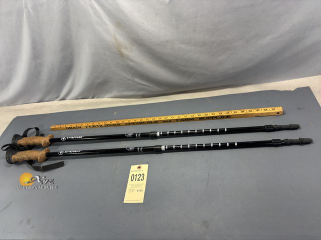 Lot 83-0123 - Set of Swissgear Antishock Trekking Pole