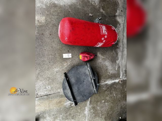 Lot 83-2231 - Punching Bag and Speed Bag