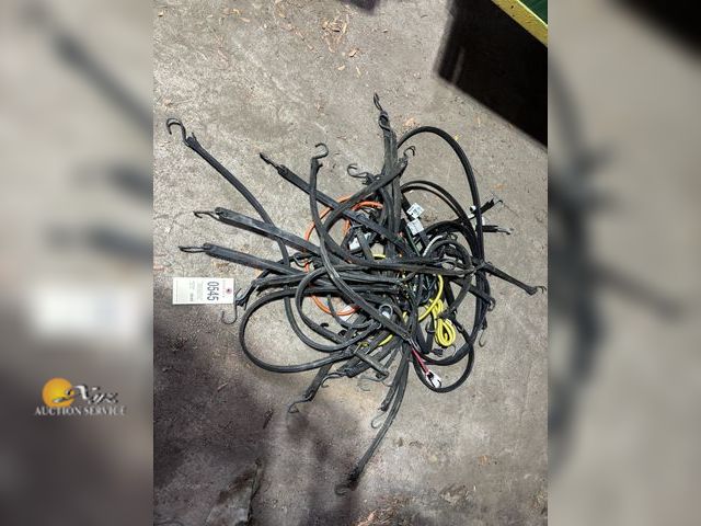 Lot 83-0545 - Lot of Bungee Cords
