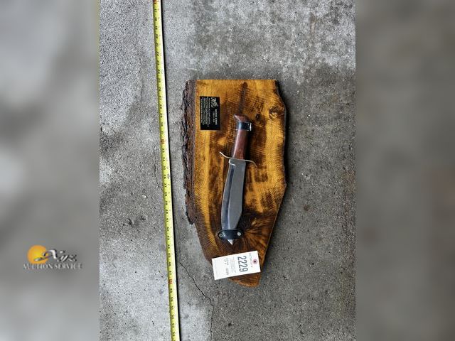 Lot 83-2229 - Bowie Knife