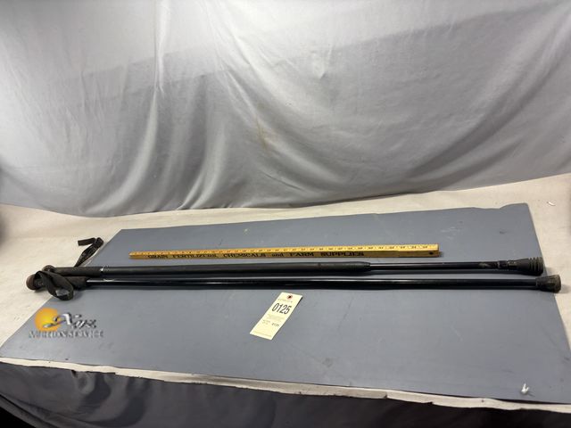 Lot 83-0125 - Two Trekking Poles