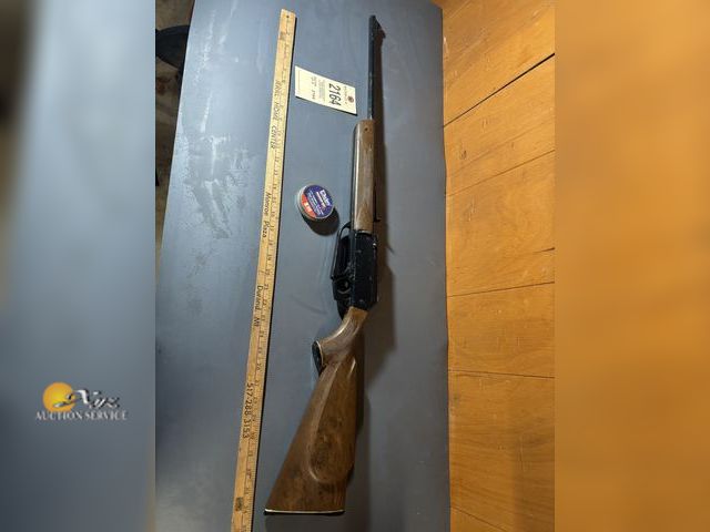 Lot 83-2164 - Air-Rifle and Pellets