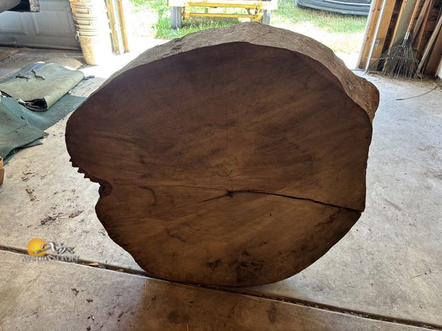 Lot 83-1031 - Slab of Wood