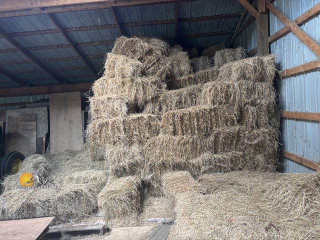 Lot 83-1011 - Lot of Hay and Straw