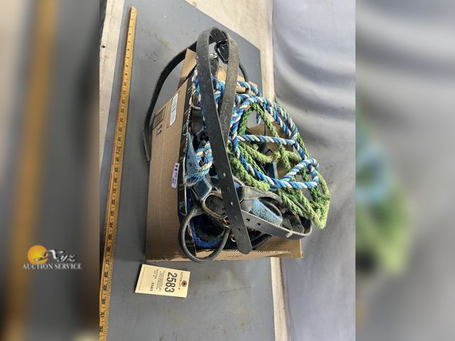Lot 83-2583 - Lot of Cattle Halters, Ropes, and Elevated Dog Bowl