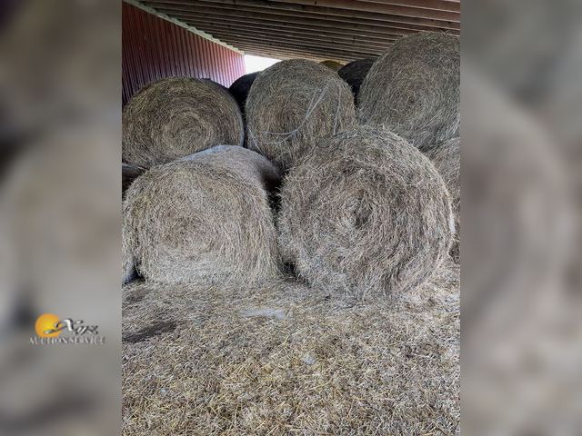 Lot 83-6003 - 20-4x5 Round, net wrapped, stored inside, 2nd and 3rd cutting, Mixed hay, Mostly Grass. Located in G...
