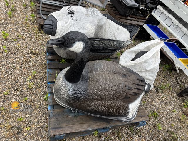 Lot 83-1004 - Lot of Fifteen 34-inch Goose Shells with heads