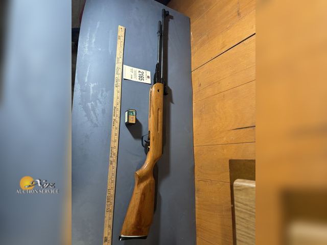 Lot 83-2165 - Air-Rife and Pellets