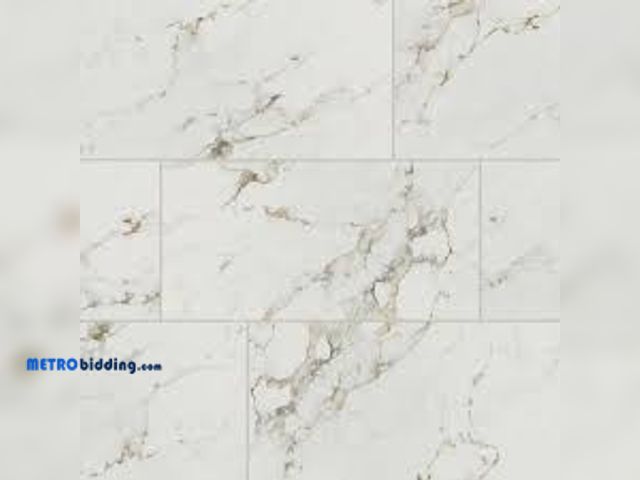 Lot 88-492687 - Daltile Maisto Safari Calacatta 24 in. x 48 in. Polished Porcelain Marble Look Floor and Wall Tile