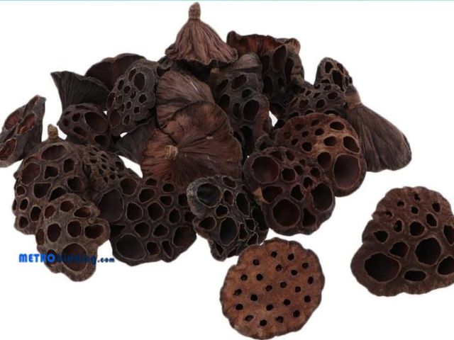 Lot 88-502157 - 30pcs Natural Dried Home Decor Flower Art