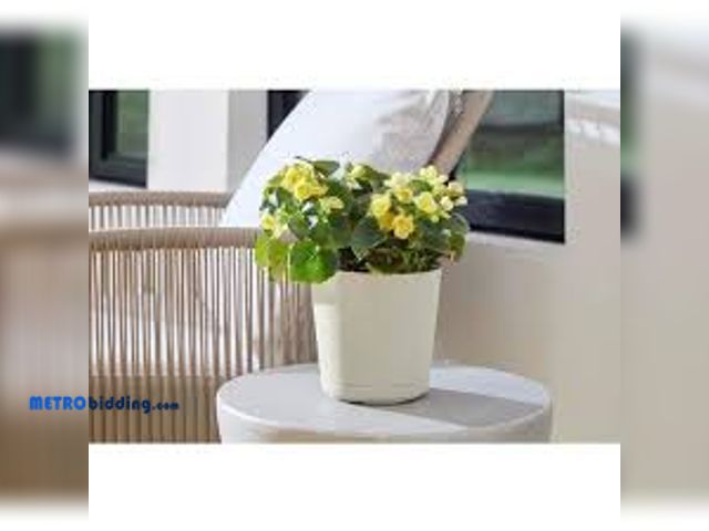 Lot 88-498993 - Reviews for Vigoro 6 in. x 6 in. D x 5.5 in. H Kyra Small Cottage Stone Plastic Decorative Pot, Lot ...