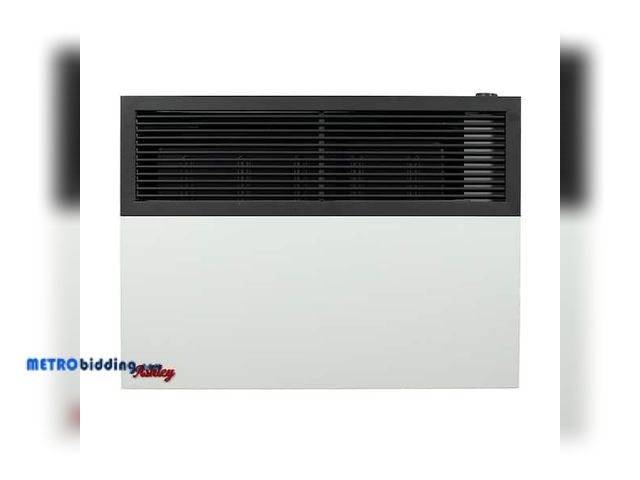 Lot 88-484577 - Ashley Direct Vent Wall Heater Dual Fuel, 17K BTU