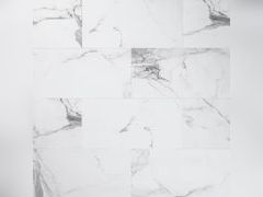 Lot 88-491594 - undefined