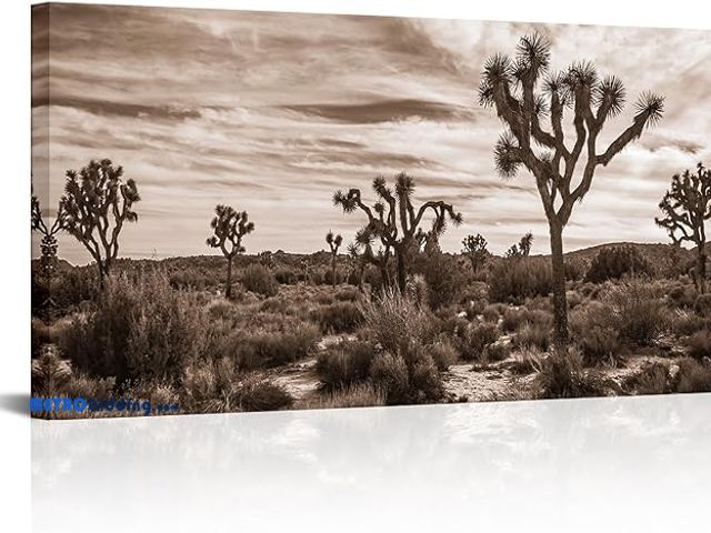 Lot 88-482771 - Nachic Wall Joshua Tree Picture Wall Art Vintage California Desert Landscape Painting Poster Artwork...