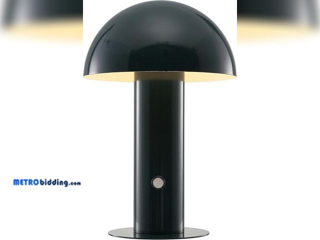 Lot 88-494756 - JONATHAN Y JYL7115D Boletus 10.75" Contemporary Bohemian Rechargeable/Cordless Portable Iron Integra...