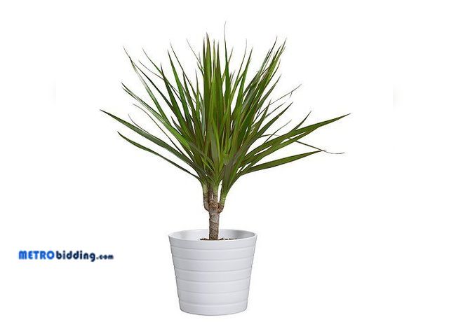 Lot 88-501456 - Ikea Kardemumma, Ceramic White Flower Plant Pot, Package Including All Four Textures/designs