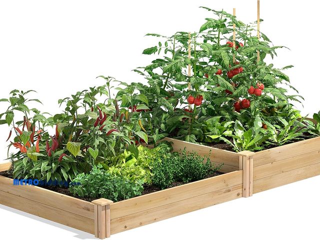 Lot 88-481537 - Greenes Fence Premium Cedar Raised Garden Bed, 4' x 8' x 7-10.5" (3/4" Thick) - Made in USA with Nor...