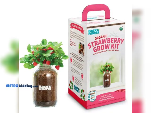 Lot 88-498267 - Back to the Roots Organic Strawberry Grow Kit