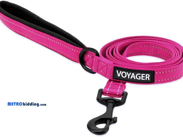 Lot 88-498017 - Voyager Reflective Dog Leash with Neoprene Handle, 5ft Long, Supports Small, Medium, and Large Breed...
